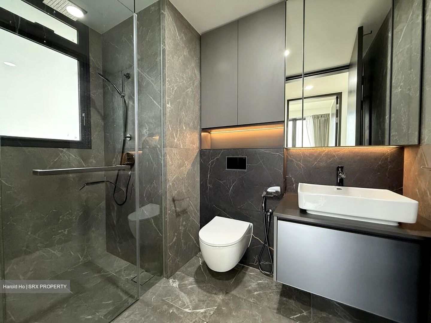 Irwell Hill Residences (D9), Apartment #579097821